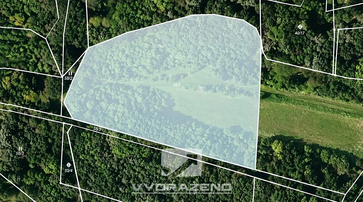 Fotka 2 z 10